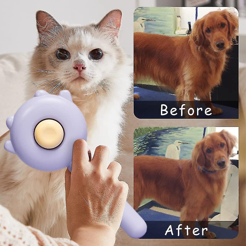 Pet Hair Removal Brush for Cats and Dogs